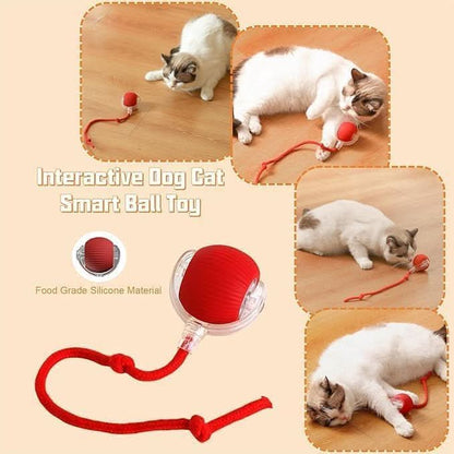 PataBot™ Smart Pet Ball - interactiva y apta para mascotas - MercaPro
