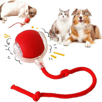 PataBot™ Smart Pet Ball - interactiva y apta para mascotas - MercaPro