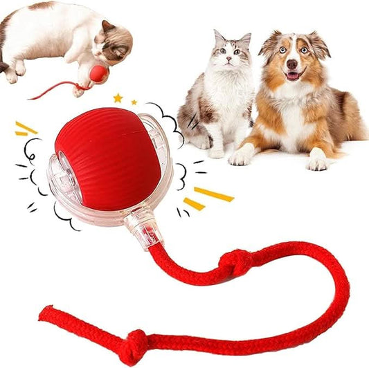 PataBot™ Smart Pet Ball - interactiva y apta para mascotas - MercaPro