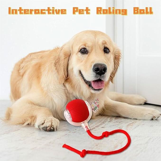 PataBot™ Smart Pet Ball - interactiva y apta para mascotas - MercaPro