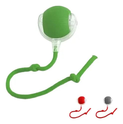 PataBot™ Smart Pet Ball - interactiva y apta para mascotas - MercaPro